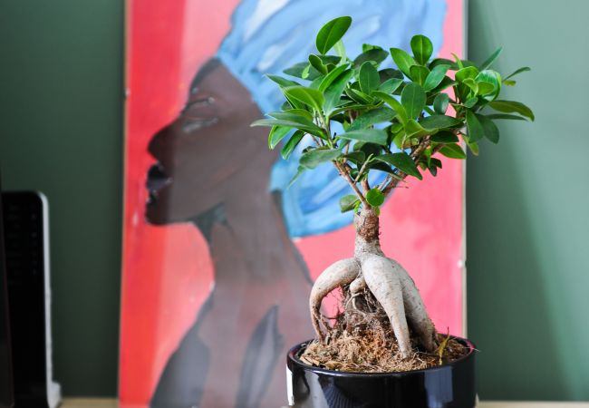 Apartamento em Lisboa - Marquês do Pombal - Marguerite