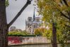 Apartment in Paris - Île Saint Louis Luxury